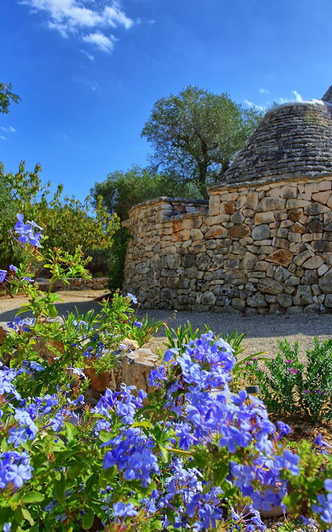 Trullo Pascarosa: Draussen