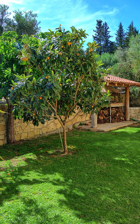 Villa Vrisses: Draussen, Garten