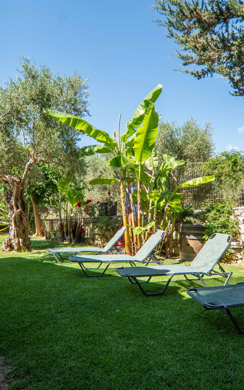 Villa Vrisses: Draussen, Garten, Schwimmbad