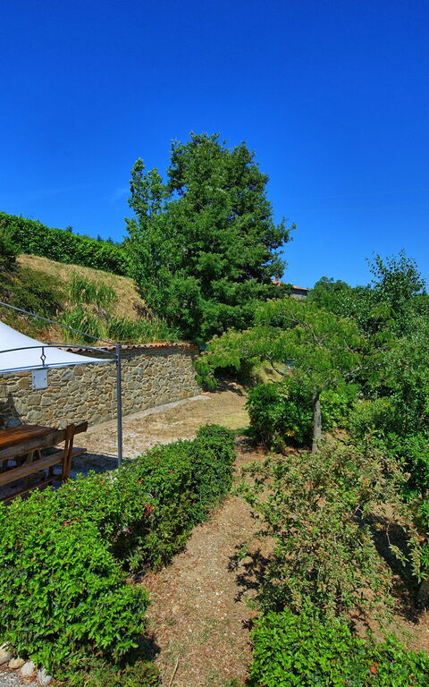 Borgo Veronica: Garten