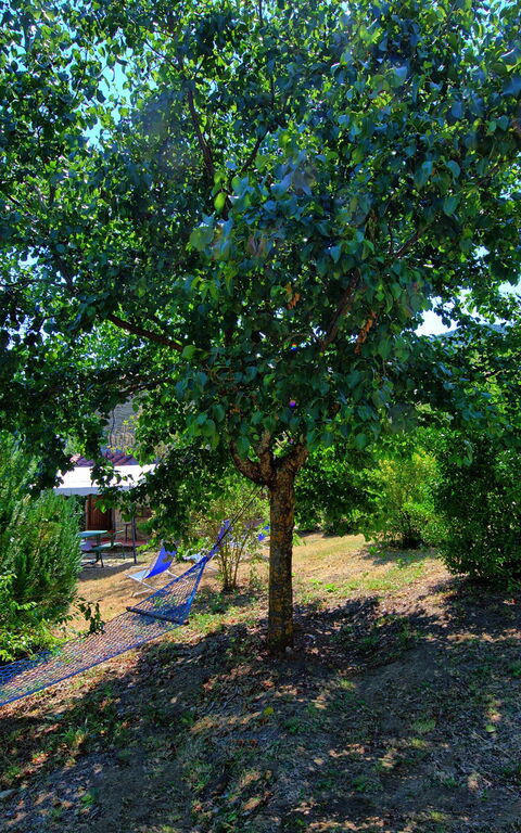 Borgo Veronica: Garten