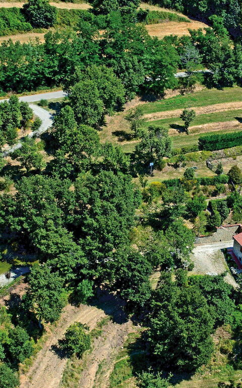 Borgo Veronica: Ansichten