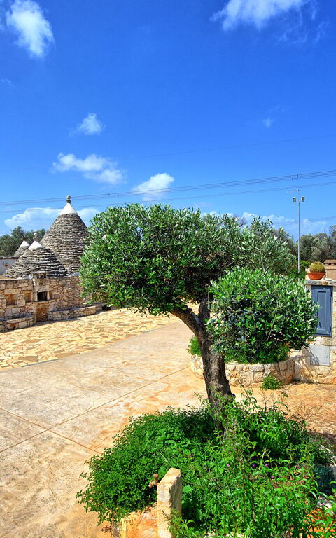 Trullo Santo Stefano: Draussen, Garten