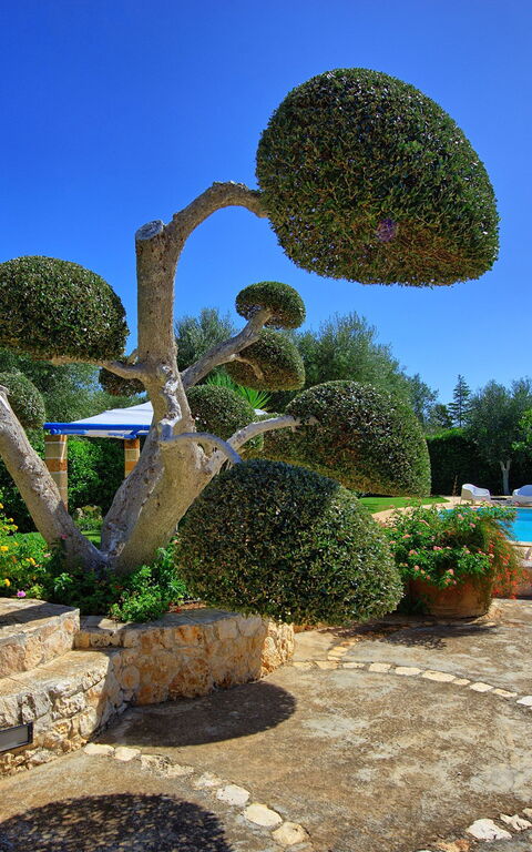 Lamia Santo Arcangelo: Garten