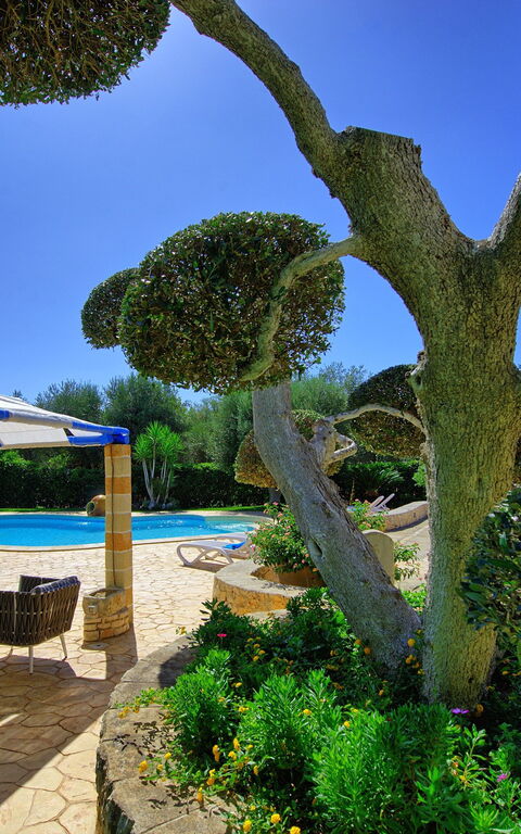 Lamia Santo Arcangelo: Außen, Garten, Schwimmbad