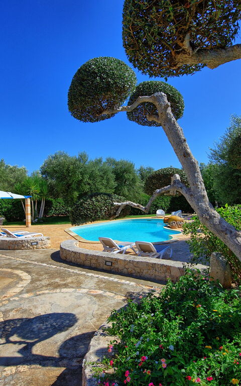 Lamia Santo Arcangelo: Garten, Schwimmbad