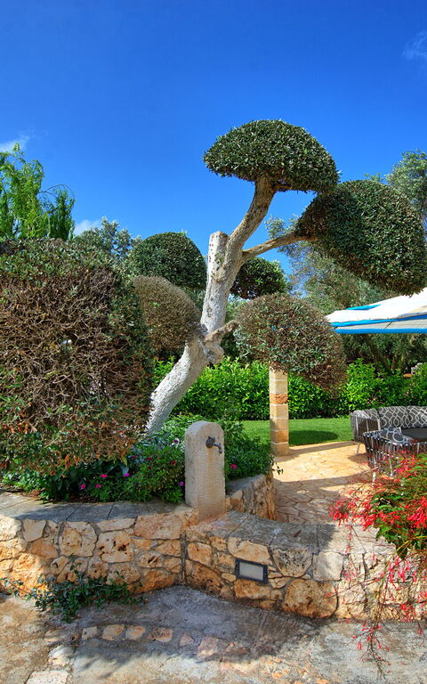 Lamia Santo Arcangelo: Draussen, Garten