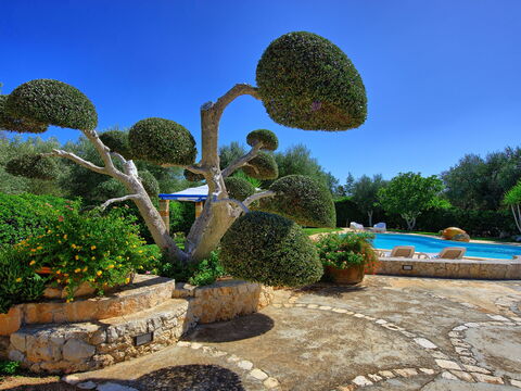 Lamia Santo Arcangelo