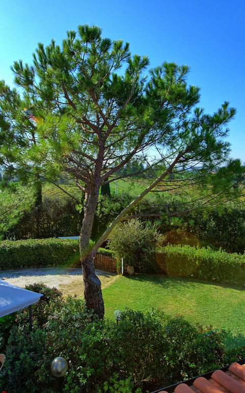 Casa Vasco: Ansichten