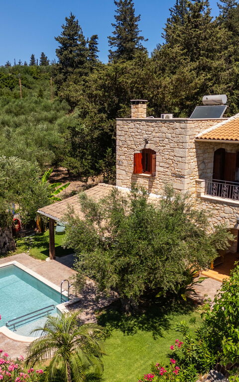 Villa Nipos: Draussen, Garten, Schwimmbad