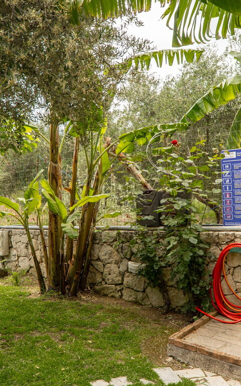 Villa Nipos: Draussen, Garten