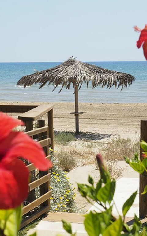 Villa Ariel: Draussen