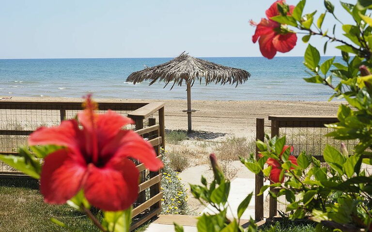 Villa Ariel: Draussen