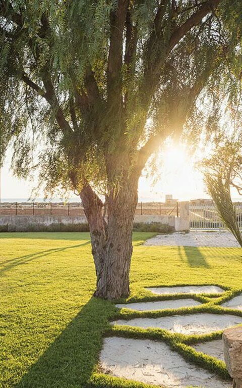 Villa Salinella: Garten