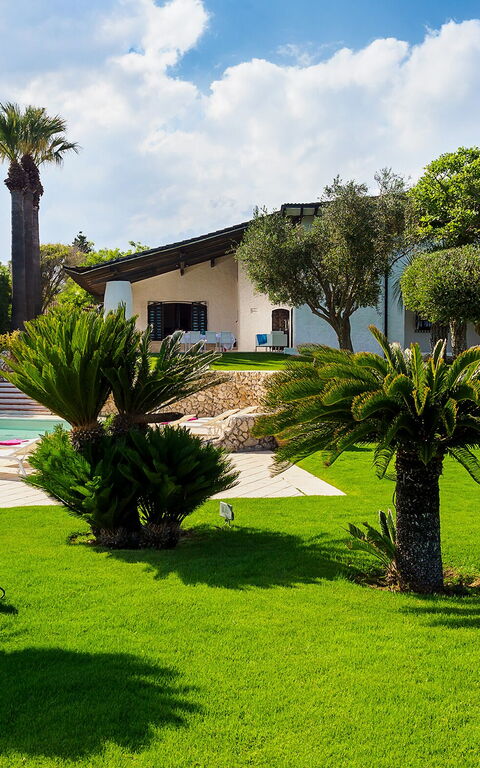 Blu Moon: Außen, Draussen, Garten, Schwimmbad