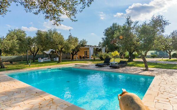 Villa Safiria: Schwimmbad