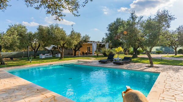 Villa Safiria: Schwimmbad