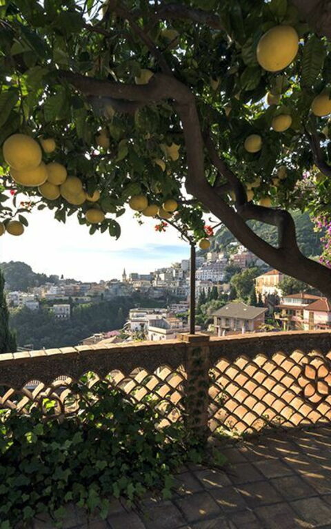 Villa La Boheme: Ansichten, Garten