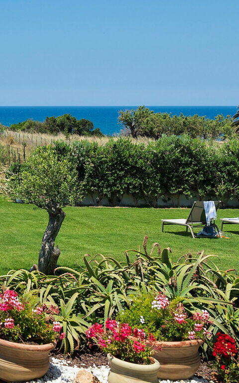 Villa Nettuno: Draussen, Garten