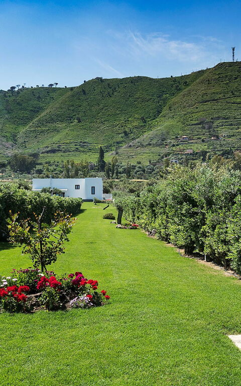 Villa Nettuno: Draussen, Garten