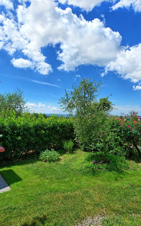 Villa Sonia: Draussen