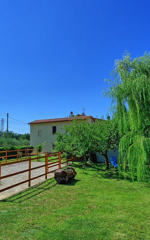 Casa Violina: Garten