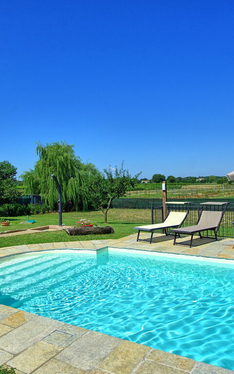 Casa Violina: Garten, Schwimmbad