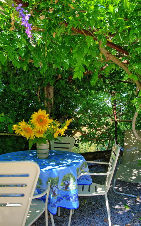 Casa Violina: Garten