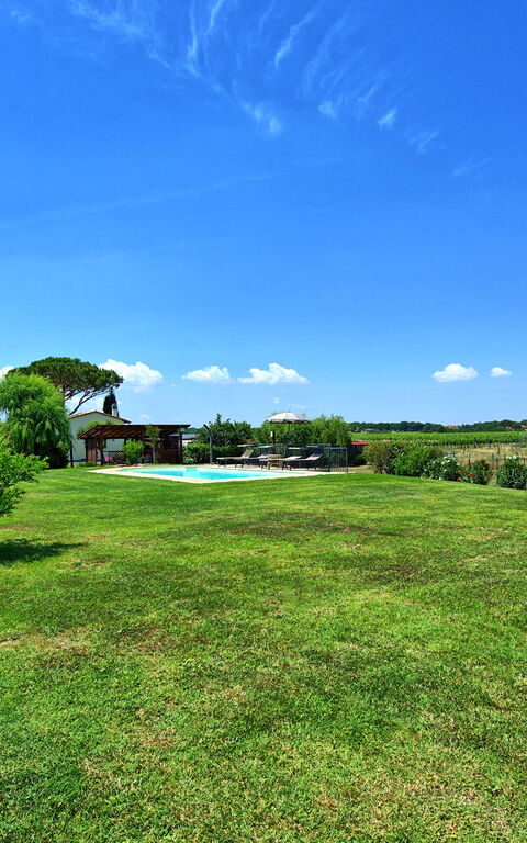 Casa Violina: Draussen, Garten