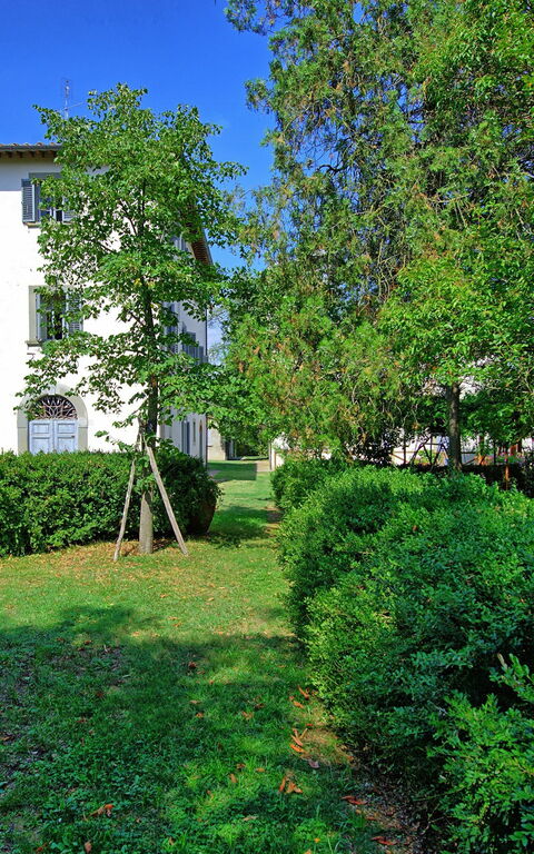 Villa Cangeli: Draussen, Garten