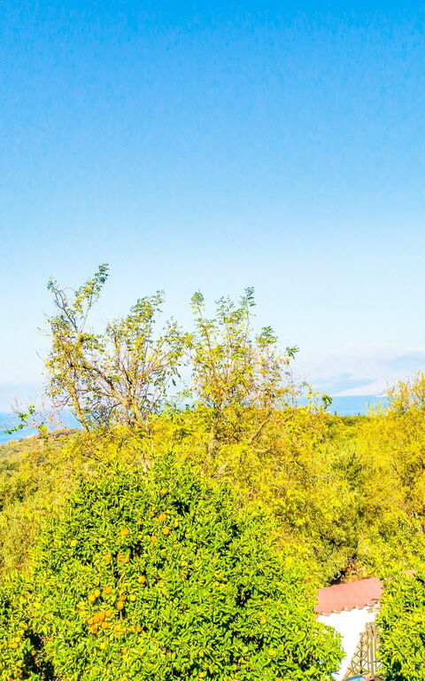 Villa Giador: Ansichten, Draussen