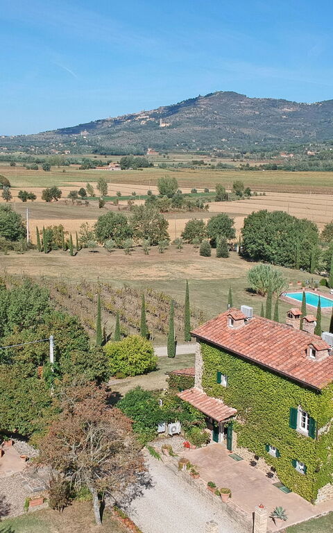 Villa Edo: Ansichten, Außen, Draussen