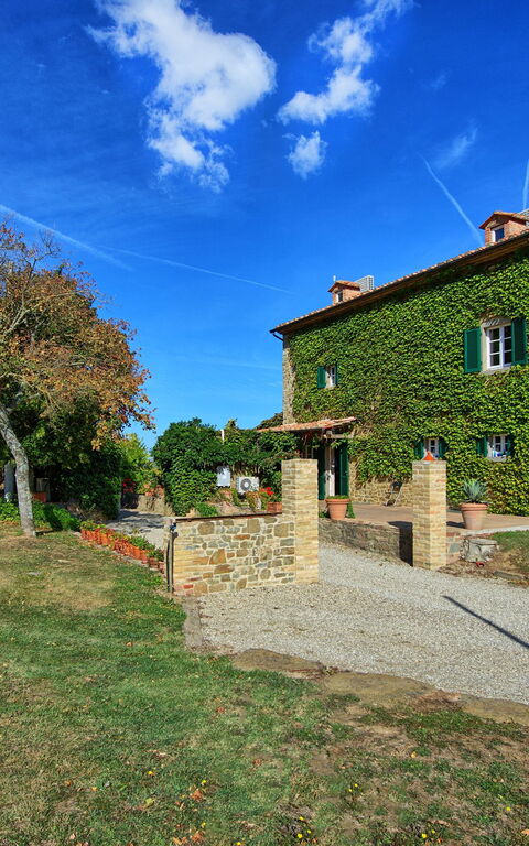 Villa Edo: Außen, Draussen, Garten