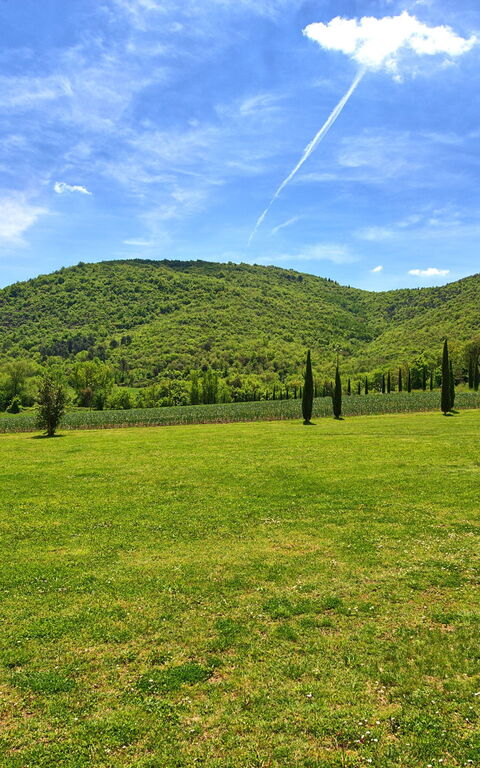 Villa Edo: Draussen, Garten