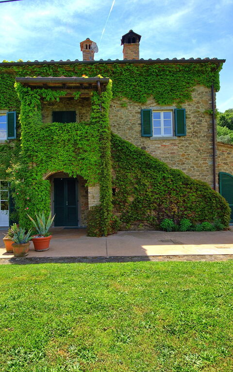 Villa Edo: Draussen, Garten