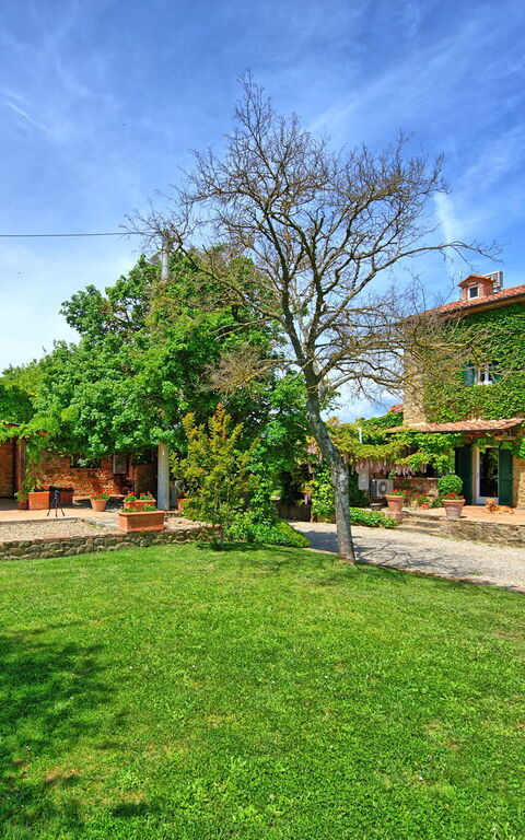 Villa Edo: Draussen, Garten