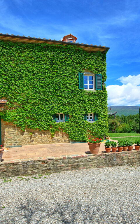 Villa Edo: Draussen, Garten