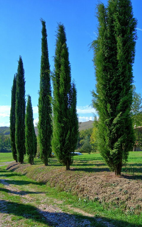 Villa Gualchiere: Haupteingang