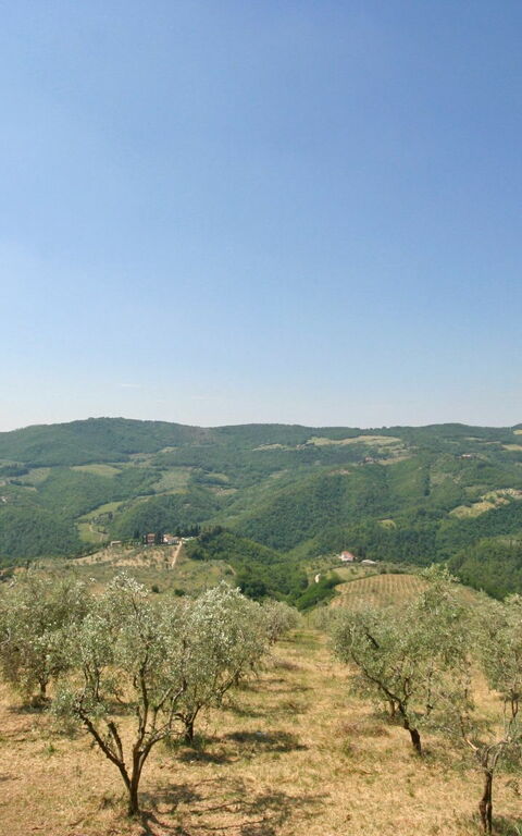 Casalta: Draussen, Garten