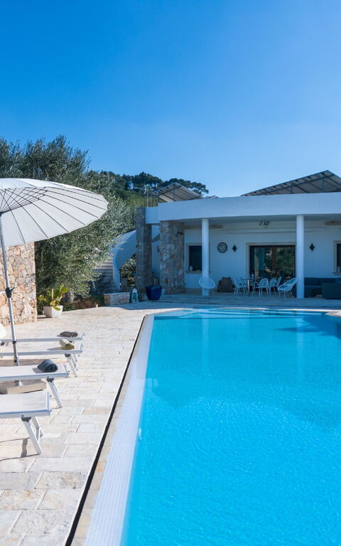 Villa Modigliani: Schwimmbad