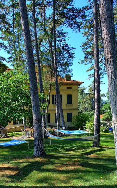 Villa Cuculo: Garten