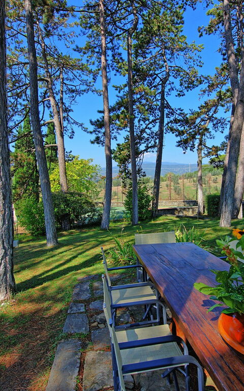 Villa Cuculo: Garten