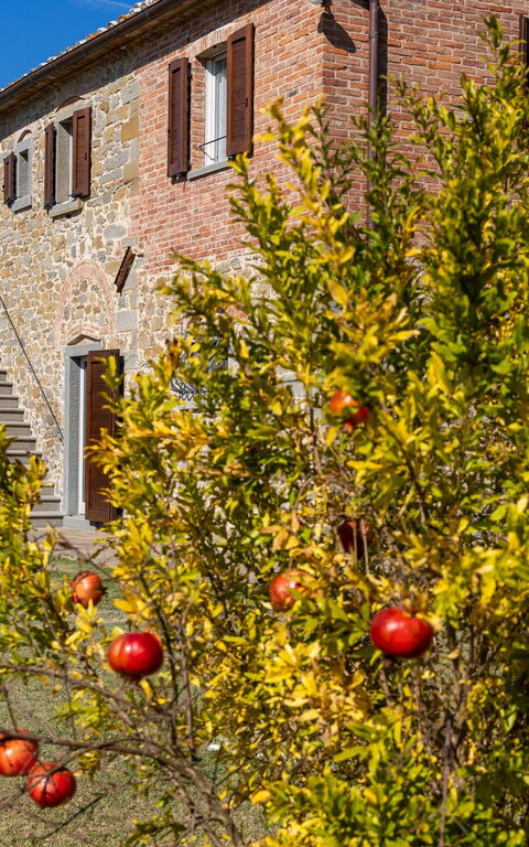 Villa Dei Vini: Außen, Draussen, Garten