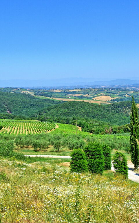 Villa Il Caggio: Ansichten, Draussen, Sommer