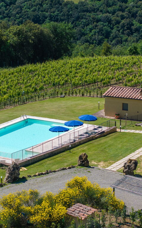 Villa Il Caggio: Ansichten, Außen, Draussen, Garten, Schwimmbad
