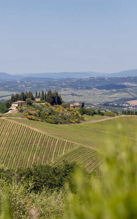 Villa Il Caggio: Ansichten