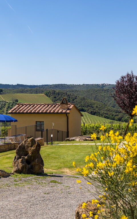 Villa Il Caggio: Außen, Draussen, Garten, Schwimmbad