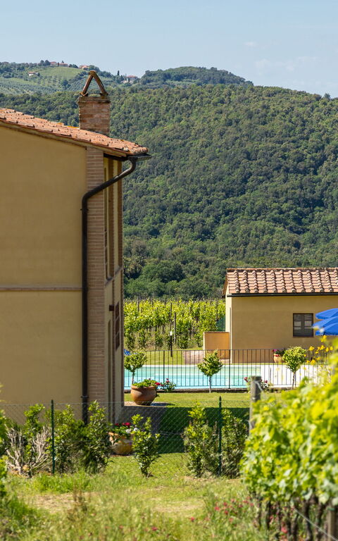 Villa Il Caggio: Außen, Draussen, Garten, Schwimmbad