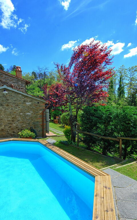 Casale Di Cozzile: Garten, Schwimmbad