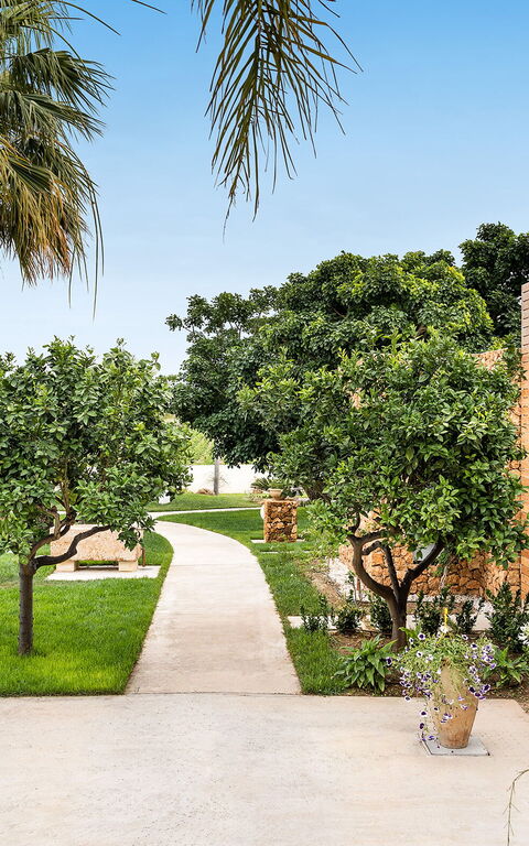 Villa Pietra Del Sole: Außen, Draussen, Garten